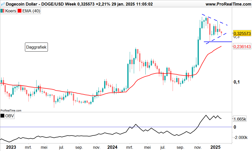 Dogecoin weekgrafiek