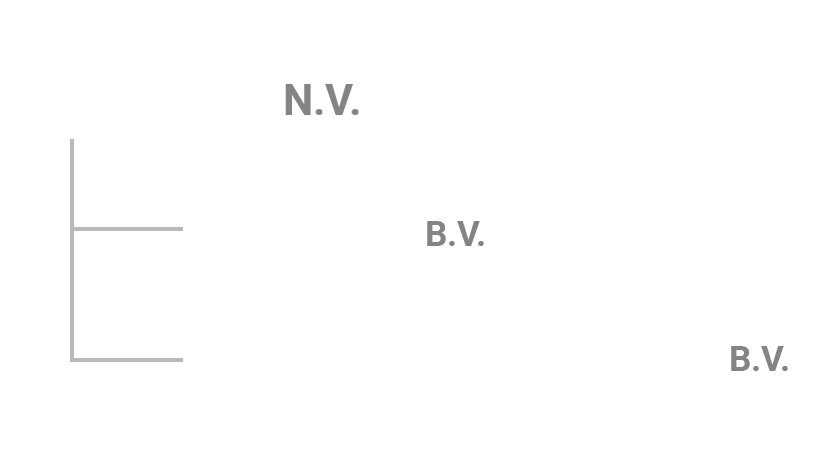 IEX Group NV organigram