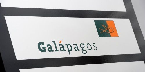 Meer Galapagos 