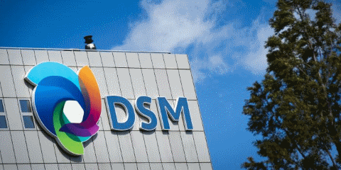 DSM: De Staats Minnen
