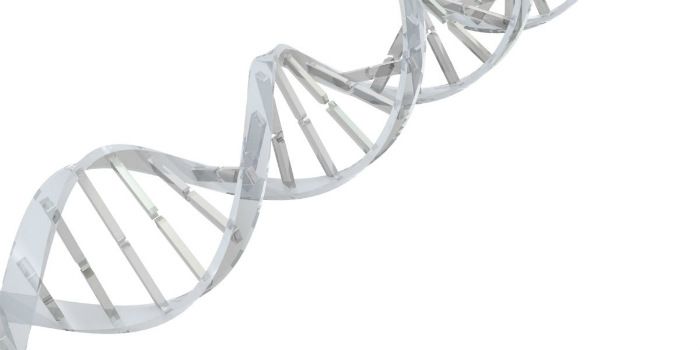 Het DNA van beleggen in DNA