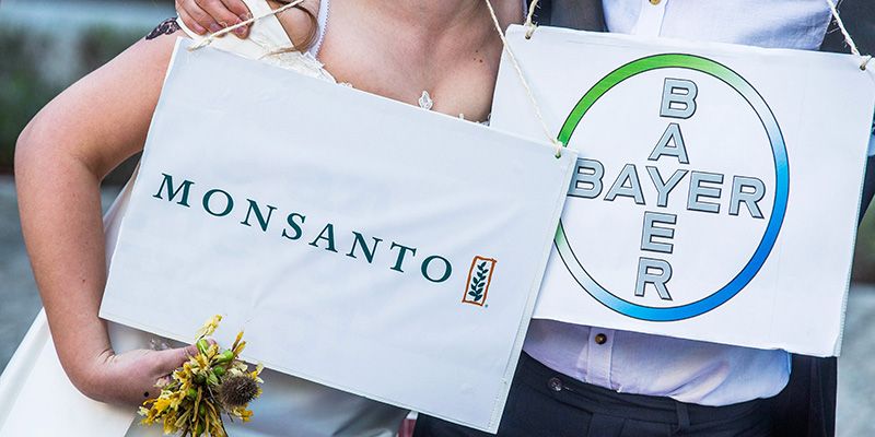 IEX Magazine: Kansrijke combi Bayer/Monsanto