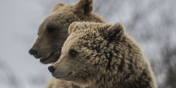Jim Rogers: beleggers moeten zich indekken tegen berenmarkt