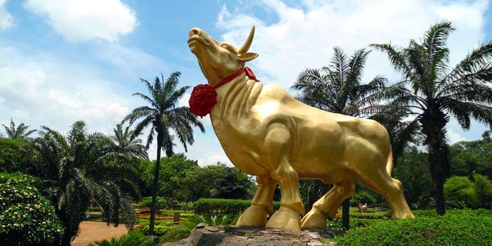 China: bull market op commando?  