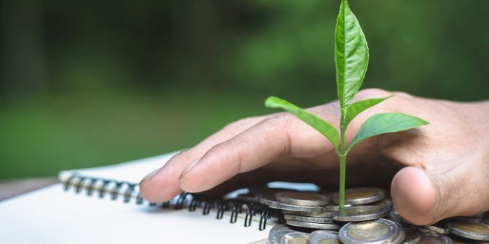 ESG-beleggen: meer rendement met minder risico