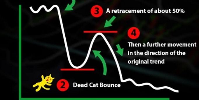 IEX Weekend: Dead Cat Bounce