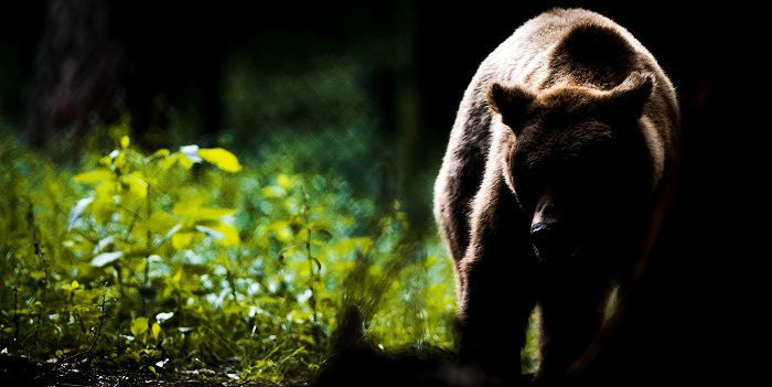 Kwart van de Nasdaq in een bearmarkt –  liggen er koopkansen?