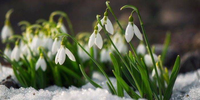 Stem op uw favorieten voor februari