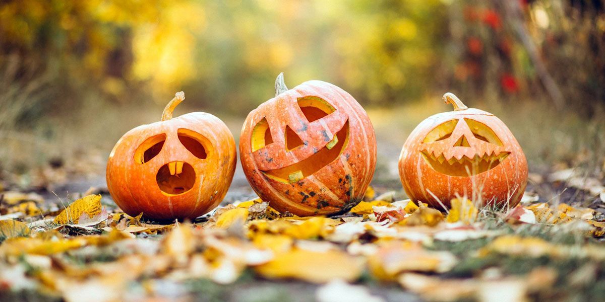 Bodemvorming aandelen wordt bevestigd door Halloween-indicator