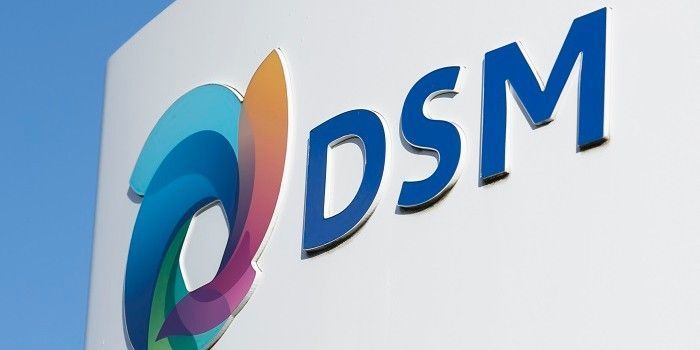 'Stijgende resultaten DSM verwacht'