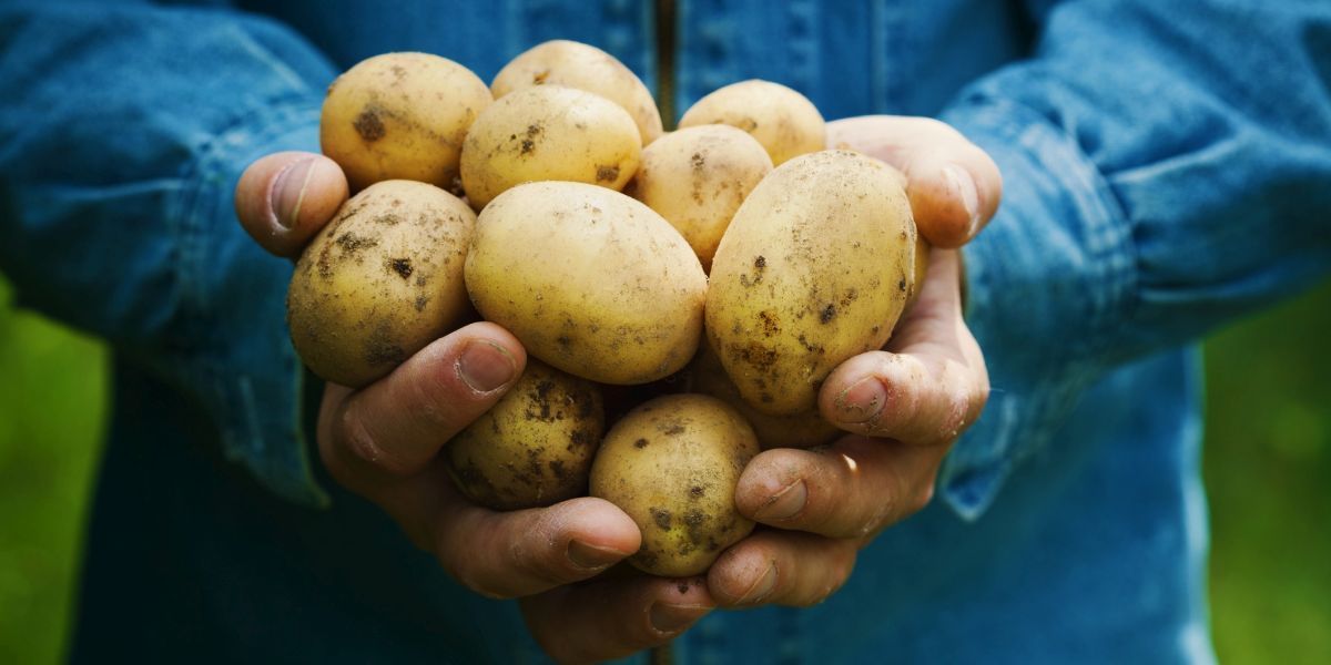 Biotalys verwacht dit jaar minder cash te verbranden