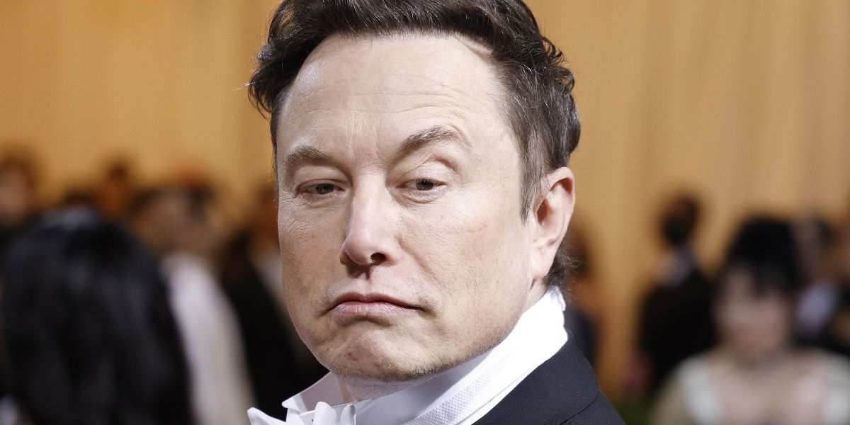 Wel of geen Twitter, Musk heeft nu helft belang 'duur' Tesla verkocht 
