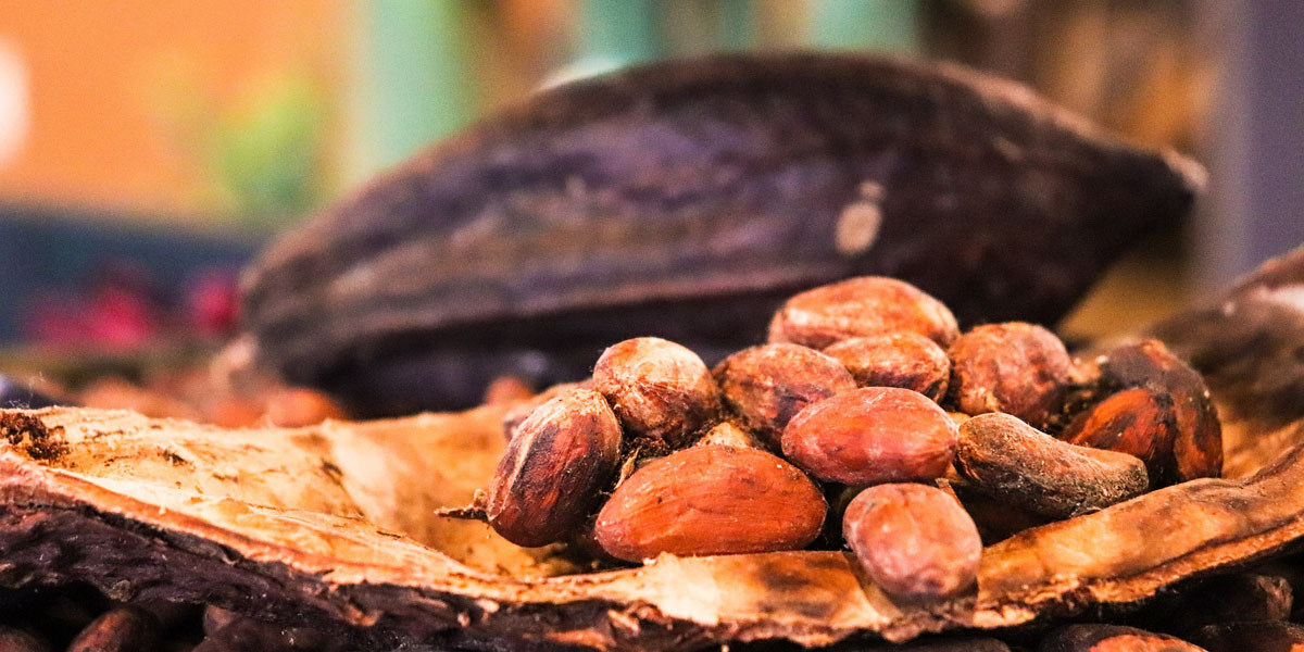 Grondstoffen: energiesector levert in, cacao in de lift