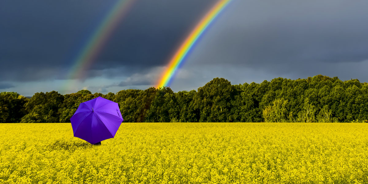 Waarde modelportefeuilles stijgt tegen de klippen op