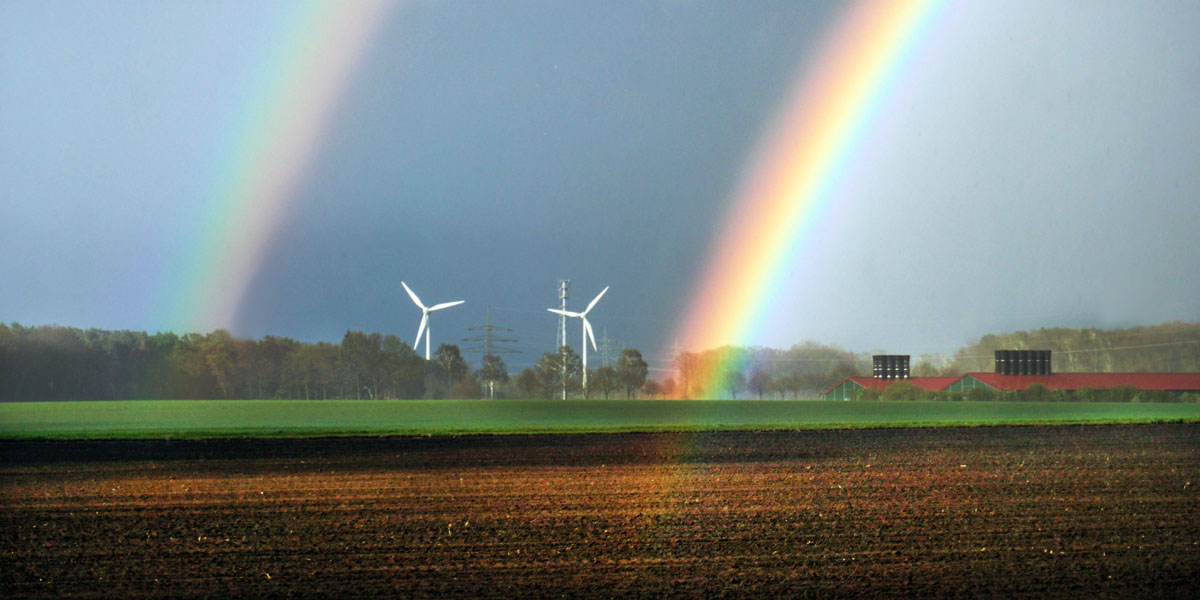 Van windkracht naar winst: de beste windturbinebouwer