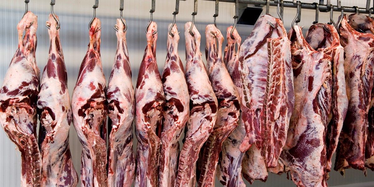 Tyson Foods verkoopt meer rundvlees