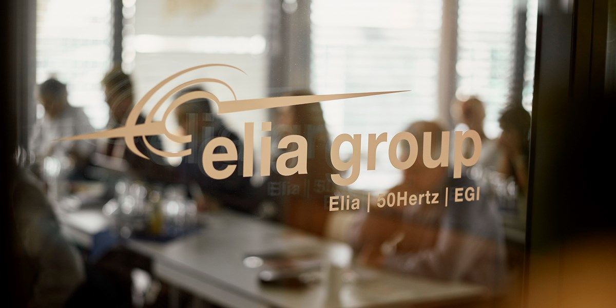Elia zoekt 600 miljoen euro kapitaal - media