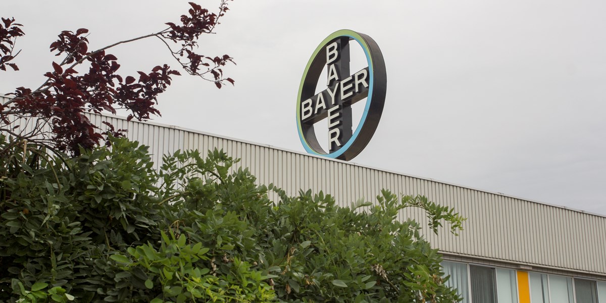 Omzet Bayer licht omlaag