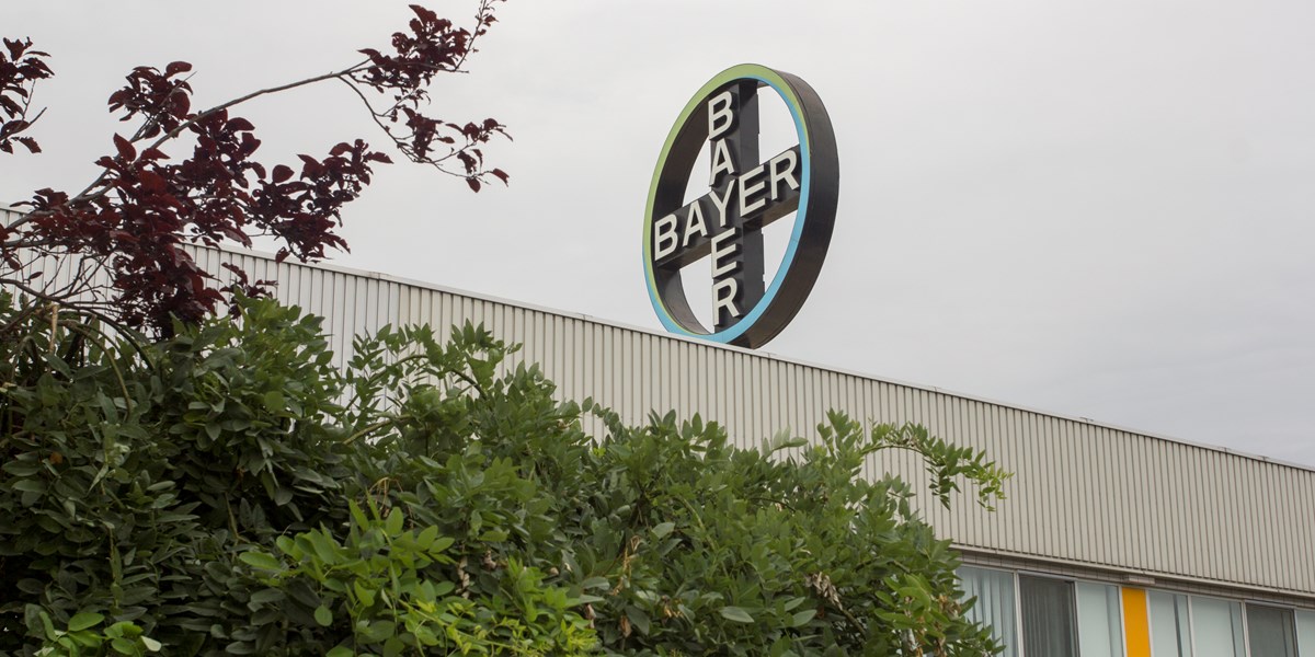 Aandeel Bayer 4% omhoog na gunstige uitspraak in Monsanto-zaak