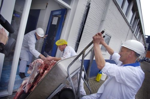 Nederlandse kalfsvleesverwerker ziet kansen