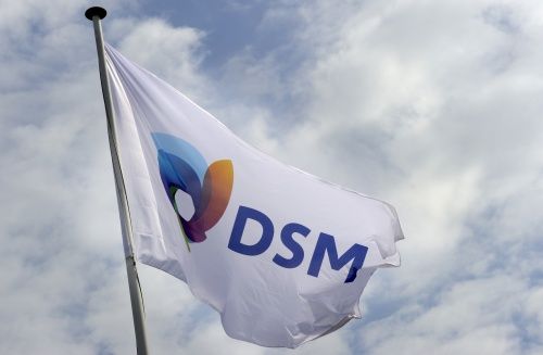 "DSM zinspeelt op investeringsstop"