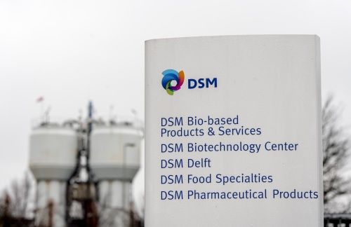DSM verkoopt meer aan voedingsindustrie