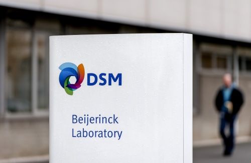 S&P verlaagt rating DSM