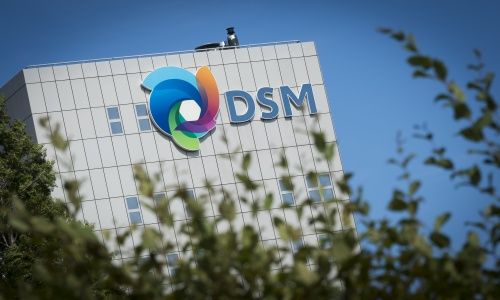 DSM tast in buidel voor groei