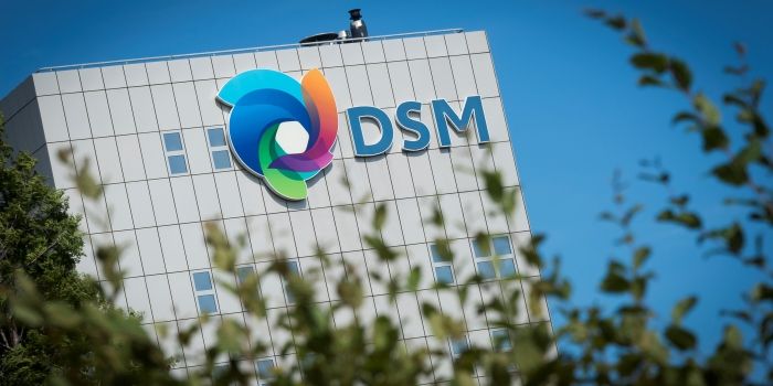 'Stevige groei voor DSM in China'