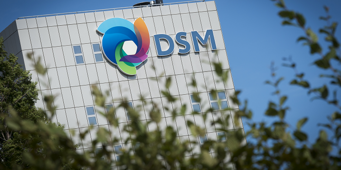 DSM rondt aandeleninkoop af