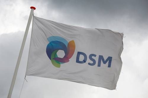Lagere resultaten voor DSM door klap auto-industrie