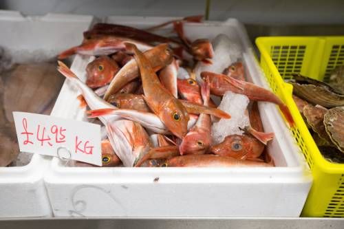 Prijzen voor Schotse vis onderuit door grensgedoe brexit